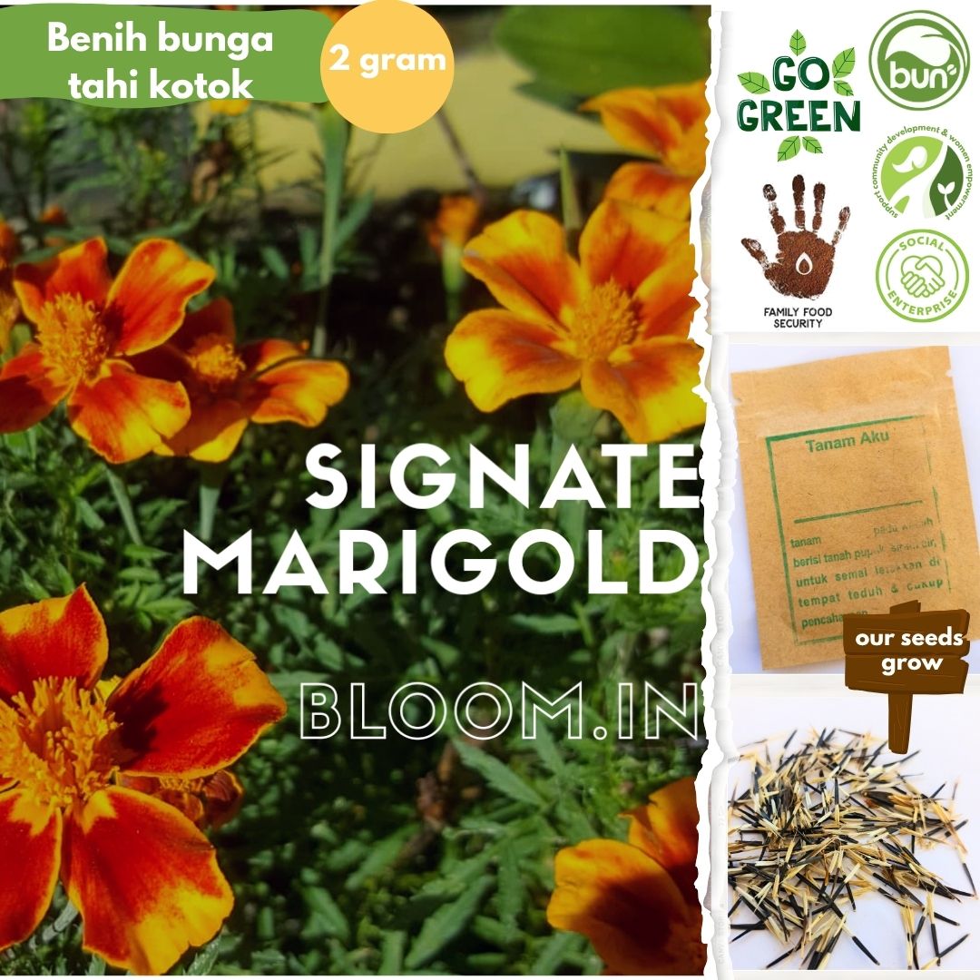 Benih Lokal No GMO Kemas Ziplock Foil