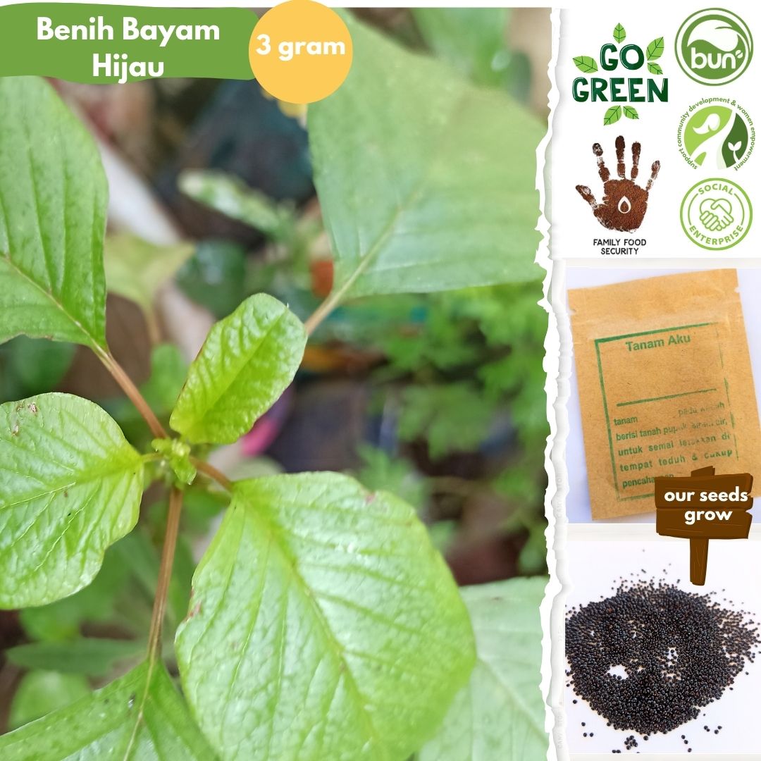Benih Lokal No GMO Kemas Ziplock Foil - Image 10