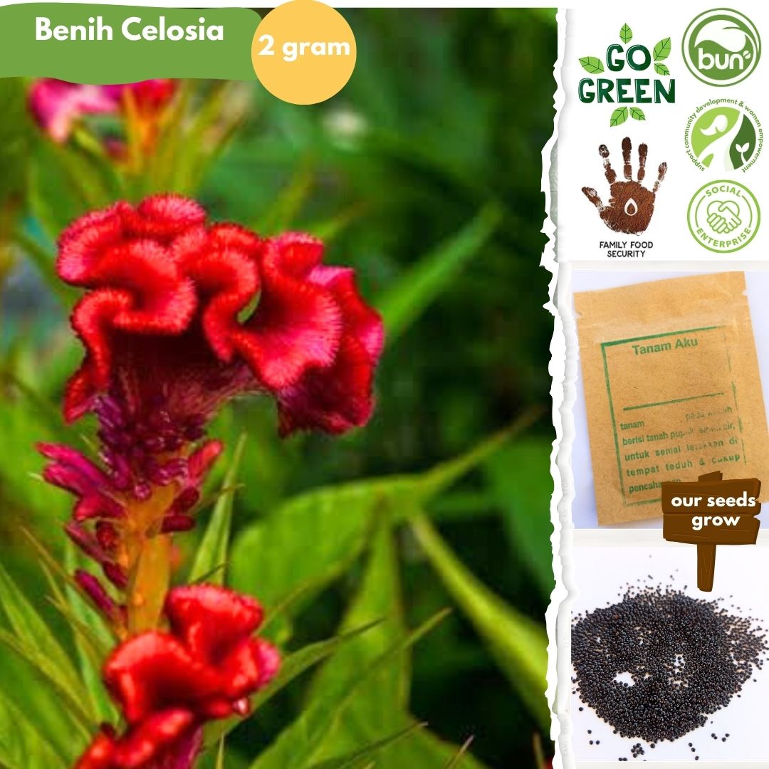 Benih Lokal No GMO Kemas Ziplock Foil - Image 11