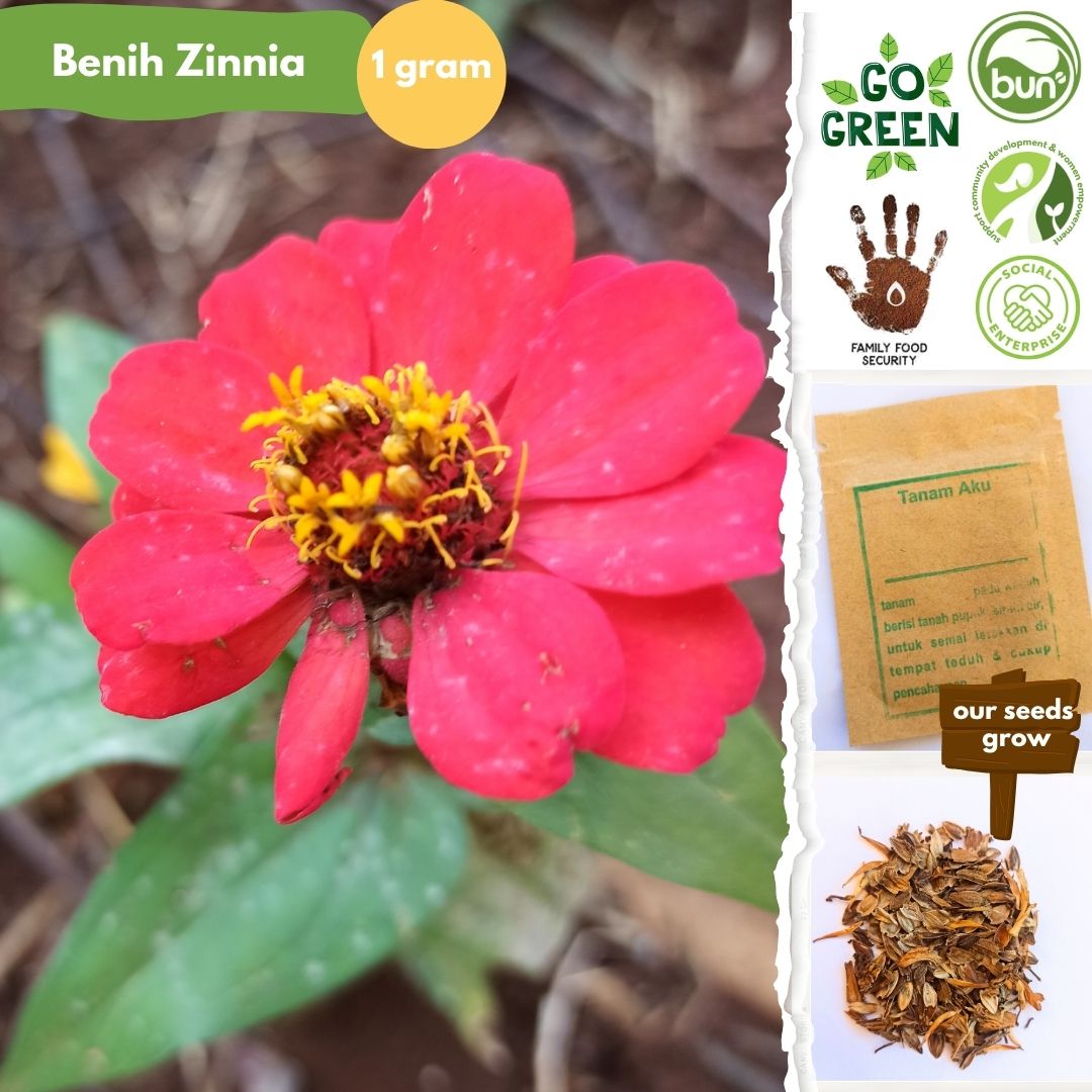 Benih Lokal No GMO Kemas Ziplock Foil - Image 7