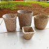 Pot Kertas Daur Ulang 8 cm - Image 6