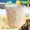 Pot Kertas Daur Ulang 8 cm