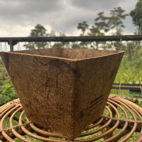 POT UPCYCLE COCO BRISTLE 22cm - Image 5