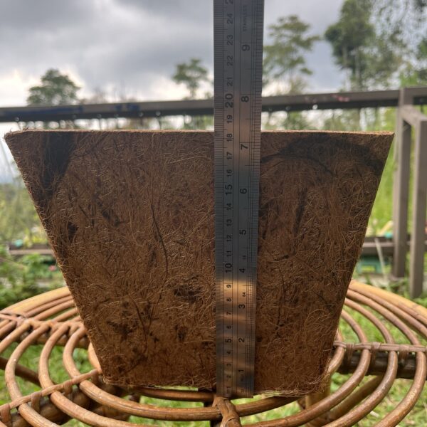 POT UPCYCLE COCO BRISTLE 22cm - Image 4