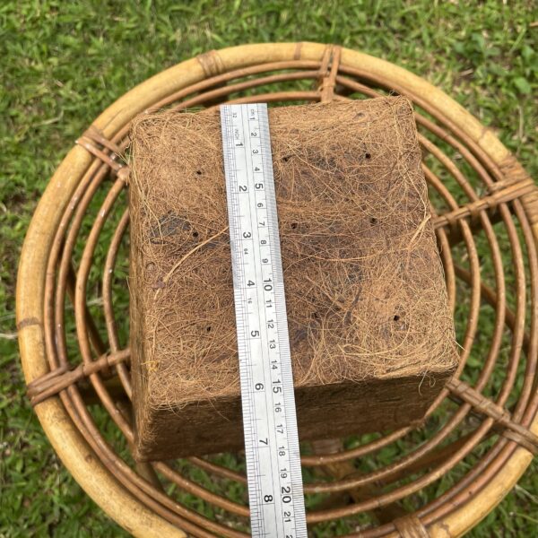 POT UPCYCLE COCO BRISTLE 22cm - Image 2