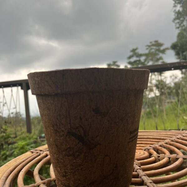 POT 15 cm UPCYCLE SABUT KELAPA - Image 2