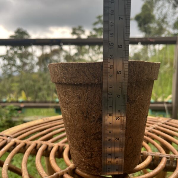 POT 15 cm UPCYCLE SABUT KELAPA - Image 4