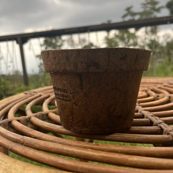 POT 10 cm RAMAH LINGKUNGAN PEMANFAATAN SABUT KELAPA - Image 2