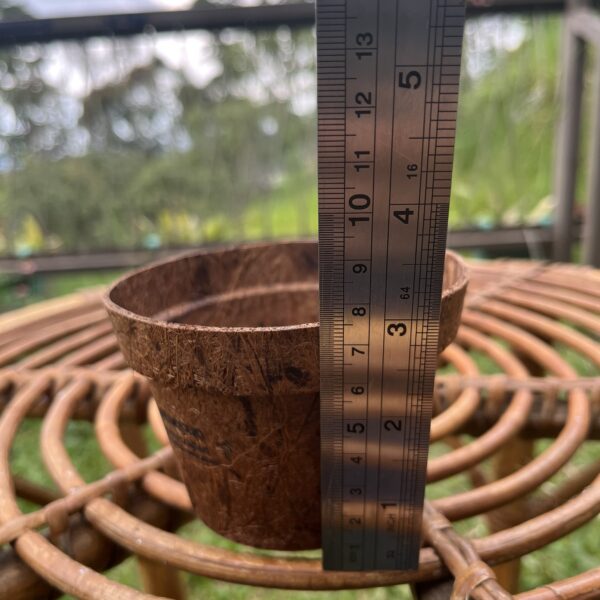 POT 10 cm RAMAH LINGKUNGAN PEMANFAATAN SABUT KELAPA - Image 3