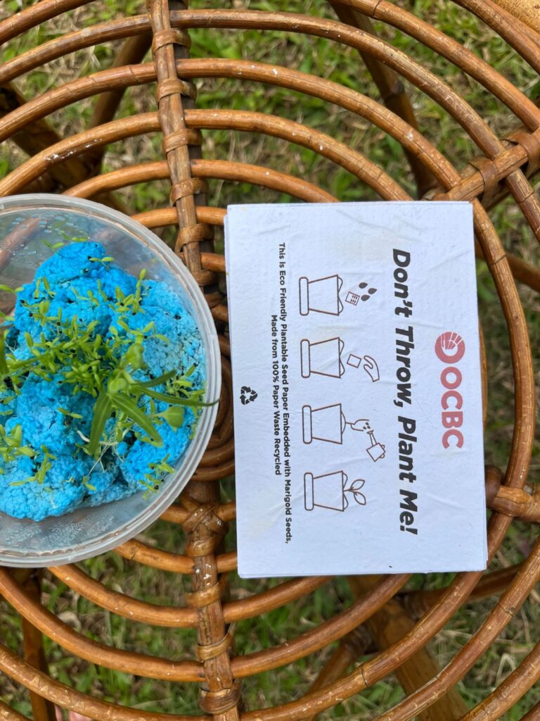 greeting card souvenir ecogreen