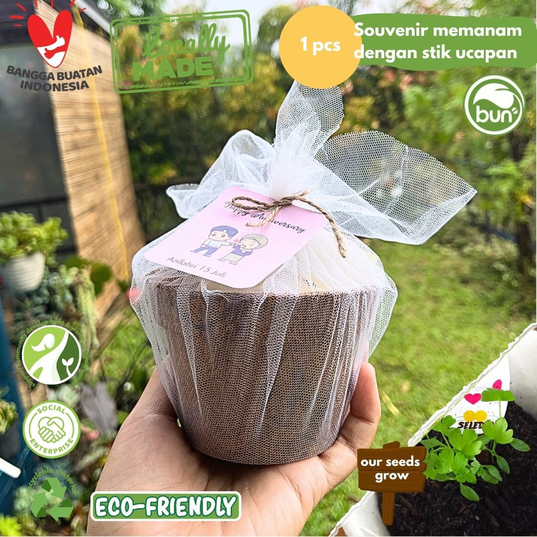Coco Stick Board Seed Kit